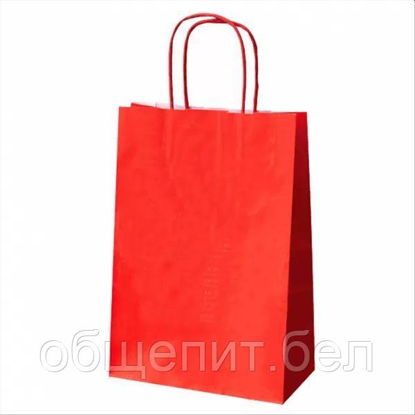 Пакет для покупок с ручками 20+10*29 см, красный, бумага, Garcia de PouИспания - фото 2 - id-p165774492