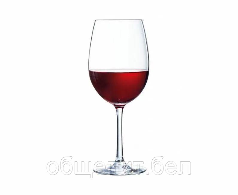 Бокал для вина Chef & Sommelier "Каберне" 580 мл, ARC, стекло - фото 4 - id-p165773044