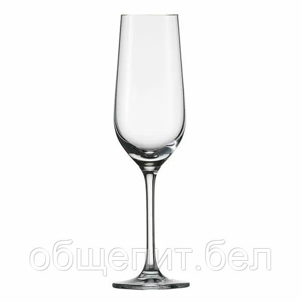 Бокал Schott Zwiesel Bar Special для шампанского 174 мл, хрустальное стекло, Германия