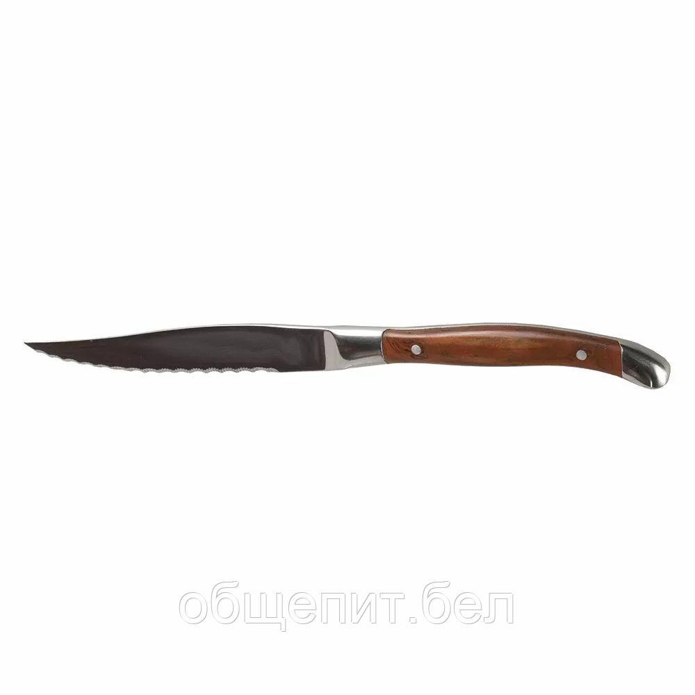 Нож для стейка Paris 23,5 см, P.L. Proff Cuisine - фото 1 - id-p165777982