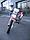 Мотоцикл Кросс Motoland WRX450 NC (190MQ), фото 7