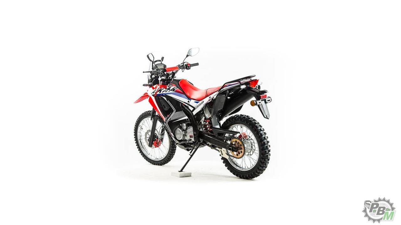 Мотоцикл Кросс Motoland DAKAR ST (172FMM PR250) - фото 3 - id-p165789749