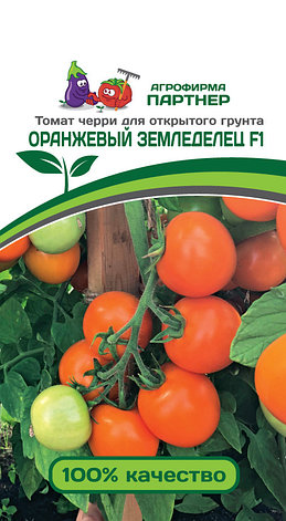 Семена Партнер Томат Черри "ОРАНЖЕВЫЙ ЗЕМЛЕДЕЛЕЦ F1" (0,05г), фото 2