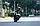 Мотоцикл Loncin Voge 500DS, фото 6