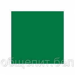 Салфетка бумажная Double Point двухслойная зеленая, 33*33 см, 50 шт, Garcia de Pou - фото 2 - id-p165775352