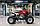 Квадроцикл Motoland 250 S без ПТС, фото 2