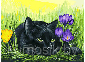 Картина для раскрашивания по номерам на холсте "Кот и крокусы"