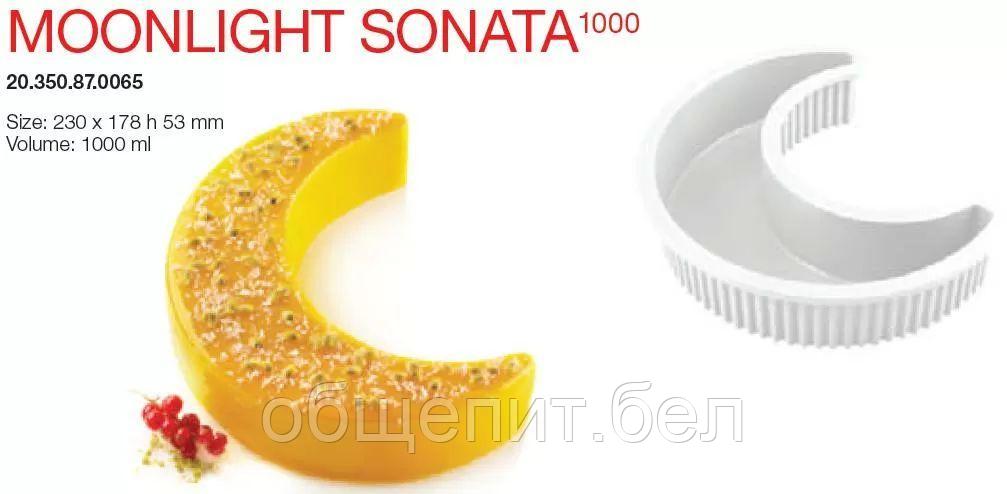 Форма кондитерская Silikomart MOONLIGHT SONATA 1000, силикон, 23*17,8*6,5(h) см, Италия - фото 1 - id-p165788279