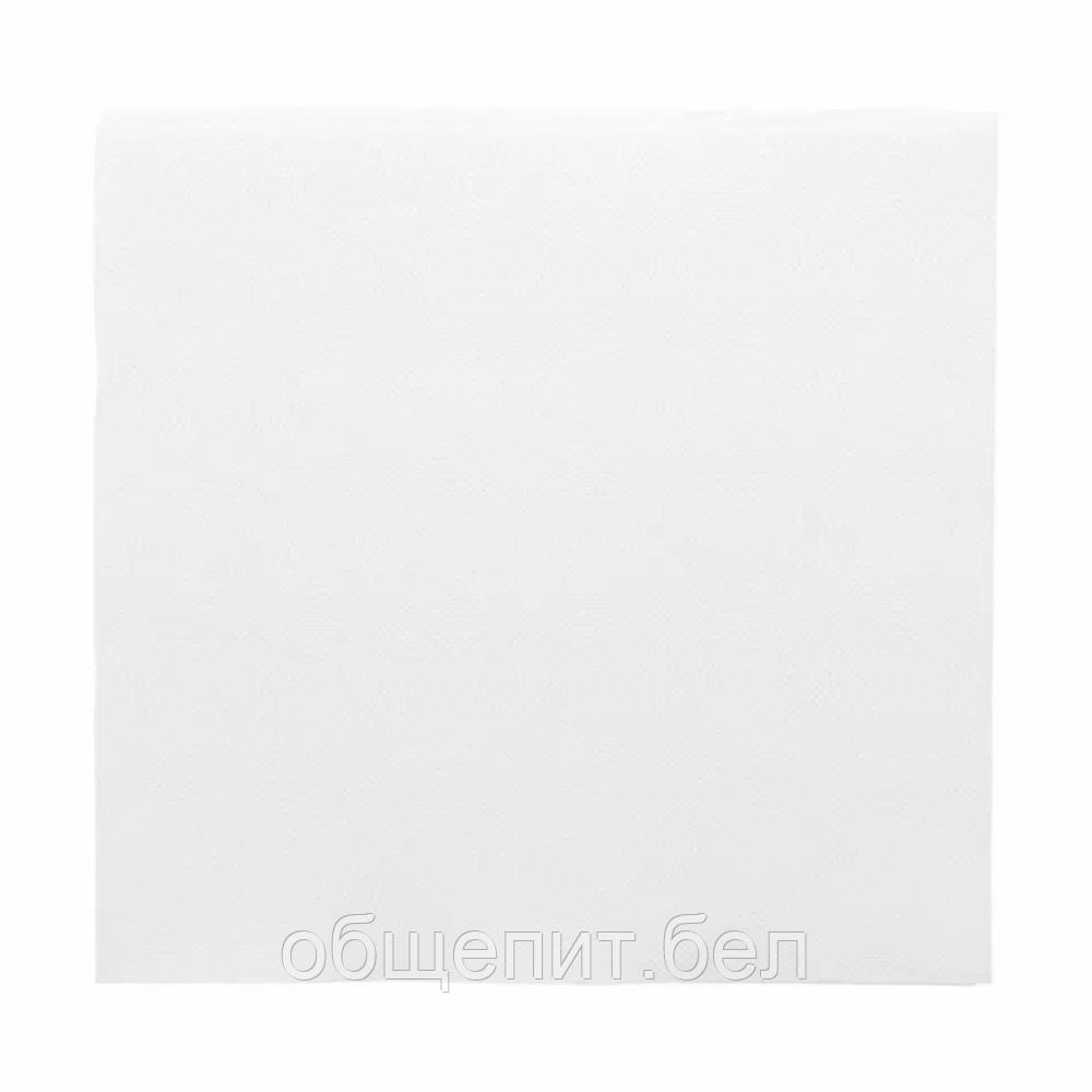Салфетка бумажная Double Point двухслойная белая, 39*39 см, 50 шт, Garcia de PouИспания - фото 1 - id-p165775519