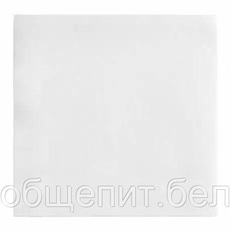 Салфетка бумажная Double Point двухслойная белая, 39*39 см, 50 шт, Garcia de PouИспания - фото 2 - id-p165775519