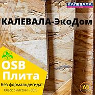 Строительная плита Калевала OSB-3 2500x1250x9, фото 2