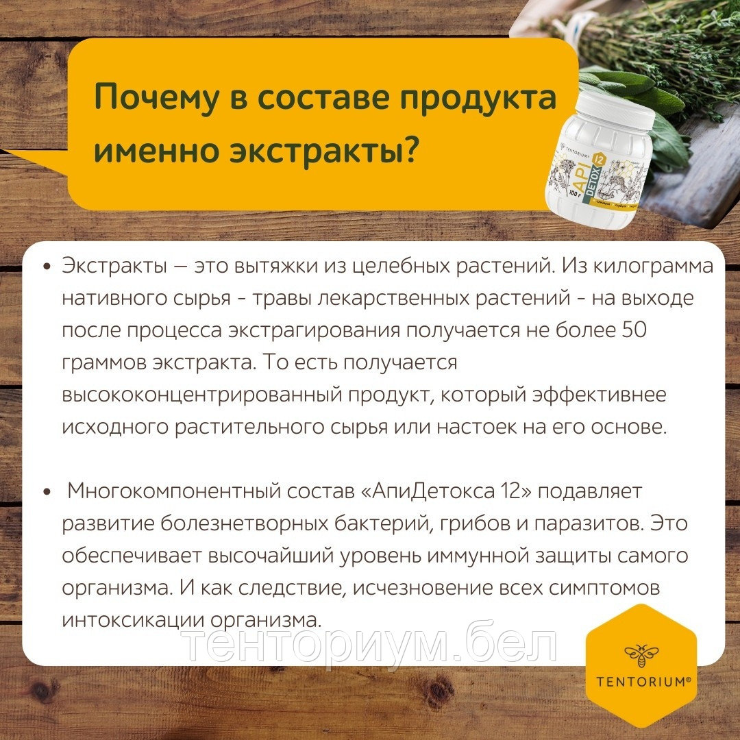 Концентрат напитка ApiDetox 12 для антипаразитарной защиты 100гр. - фото 7 - id-p165919677