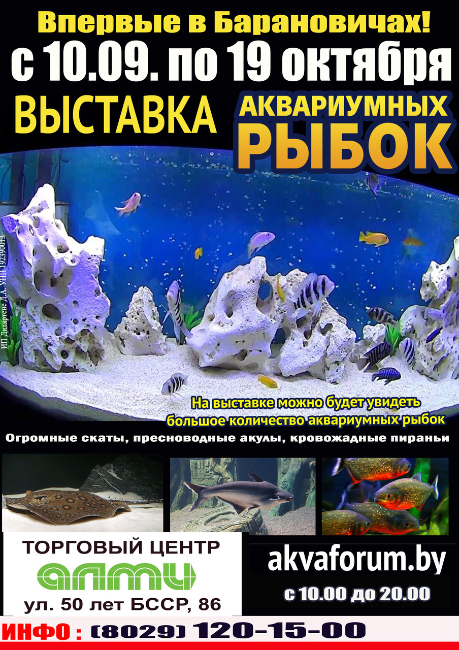 Выставка аквариумных рыбок "Аквафорум" в Барановичах.