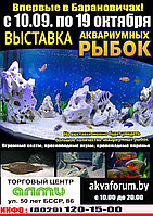 Выставка аквариумных рыбок "Аквафорум" в Барановичах.