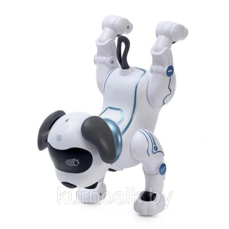 Собака-робот ZYA-A2875 интерактивная на р/у Smart Robot Dog - фото 4 - id-p166061395