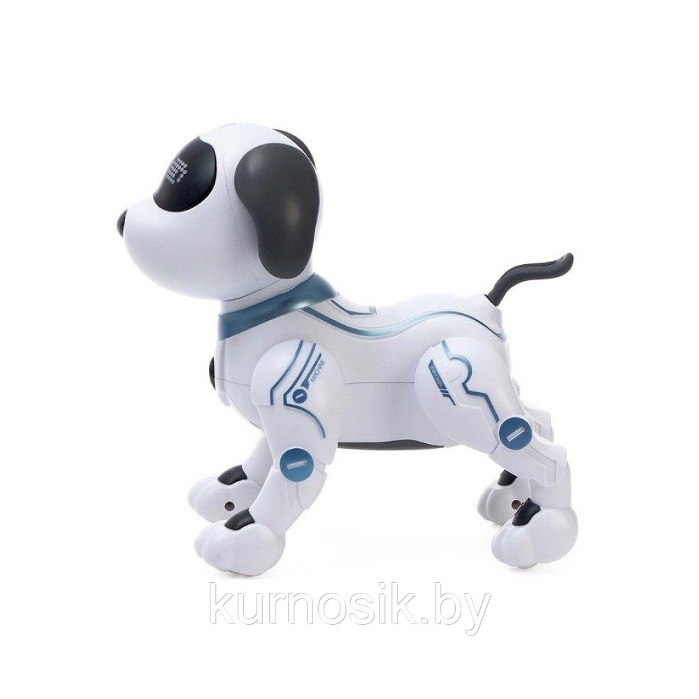 Собака-робот ZYA-A2875 интерактивная на р/у Smart Robot Dog - фото 9 - id-p166061395