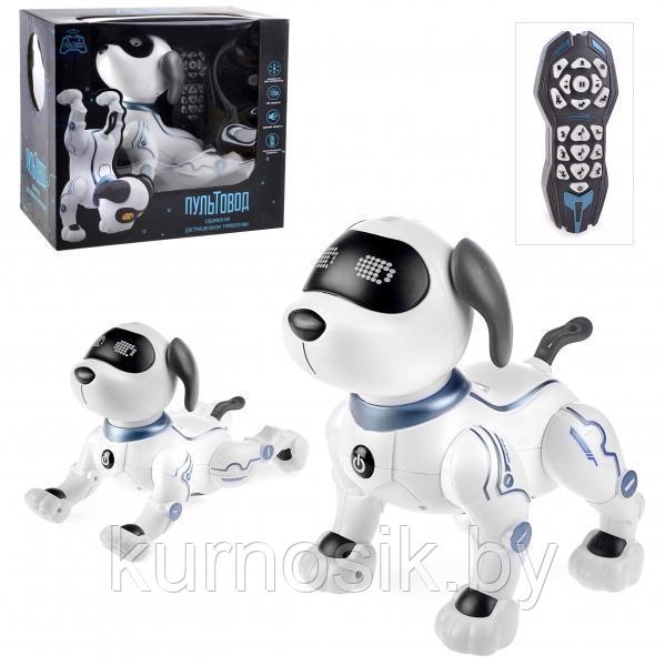 Собака-робот ZYA-A2875 интерактивная на р/у Smart Robot Dog - фото 1 - id-p166061395