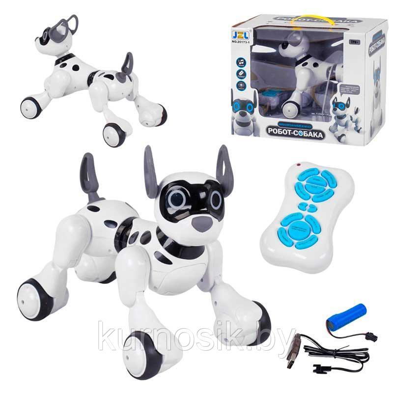 Собака-робот 20173-1 Интерактивная игрушка Собачка на р/у Robot Dog - фото 3 - id-p108263741