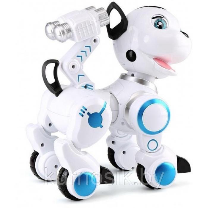 Собака робот ZYB-B2856 на р/у (сенсорные датчики, программируется, свет, звук, лай) - фото 4 - id-p166078979