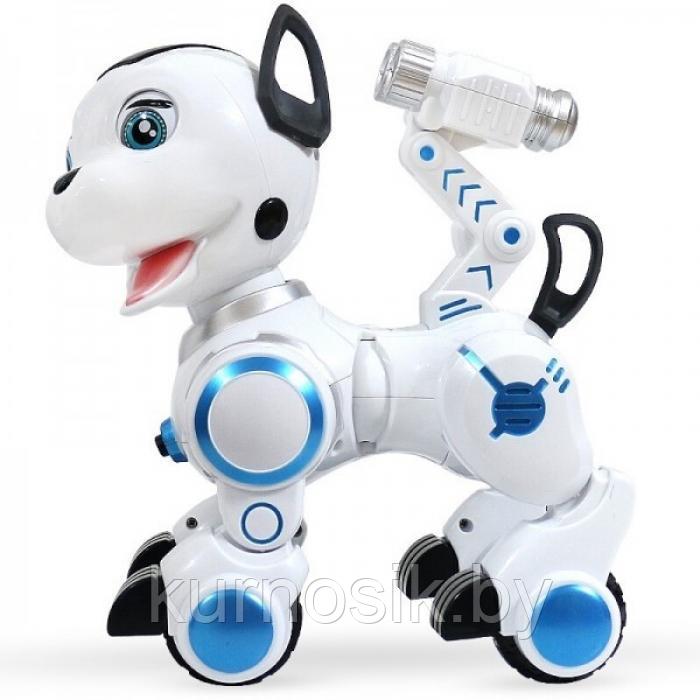 Собака робот ZYB-B2856 на р/у (сенсорные датчики, программируется, свет, звук, лай) - фото 5 - id-p166078979