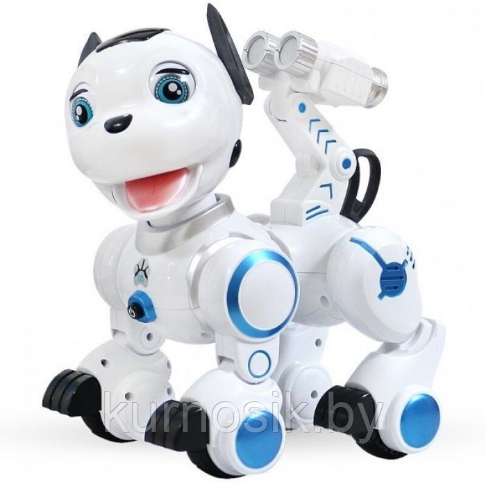 Собака робот ZYB-B2856 на р/у (сенсорные датчики, программируется, свет, звук, лай) - фото 6 - id-p166078979