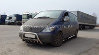 Кенгурятник для Mercedes Vito, Viano 2004-