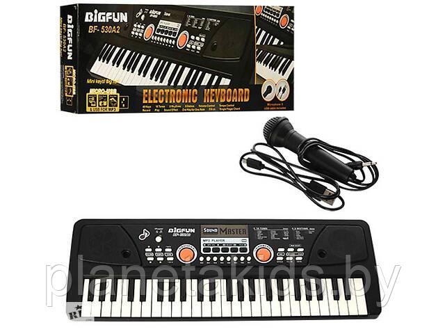 Синтезатор ( пианино) с микрофоном от сети и от батареек, с подключением MP3, арт.530A2-USB - фото 1 - id-p166163924