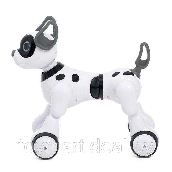 Собака-робот интерактивная Koddy, игрушка на пульте управления, JZL 20173-1 - фото 3 - id-p112328109