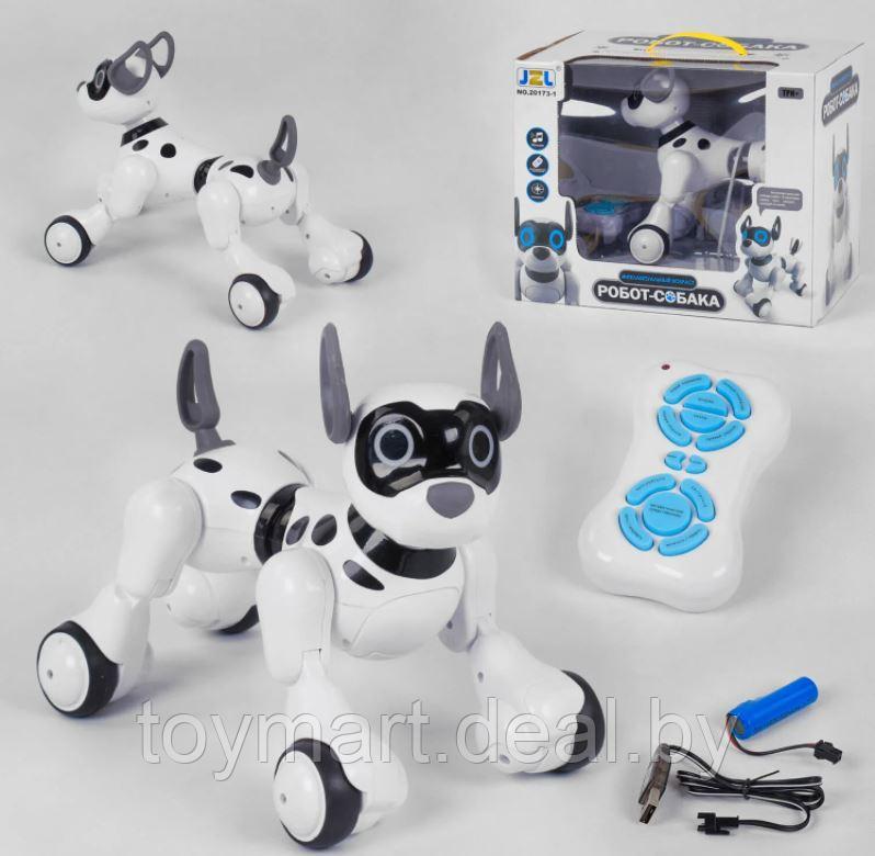 Собака-робот интерактивная Koddy, игрушка на пульте управления, JZL 20173-1 - фото 9 - id-p112328109