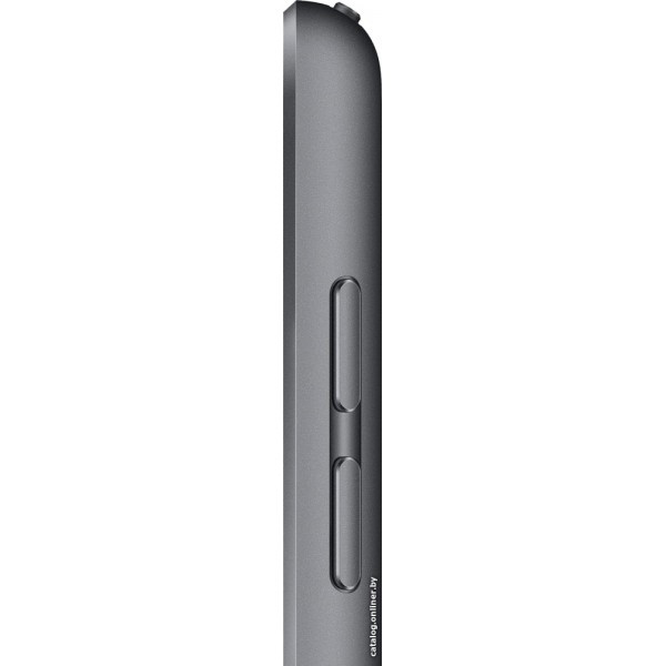 Планшет Apple iPad 10.2 - фото 2 - id-p166421571