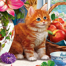 Алмазная вышивка РЫЖИЙ КОТ Пушистый рыжий котёнок на кухне / AS20055