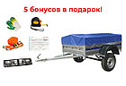 Легковой прицеп "Цинк-Мастер" 2,2х1,3, фото 2