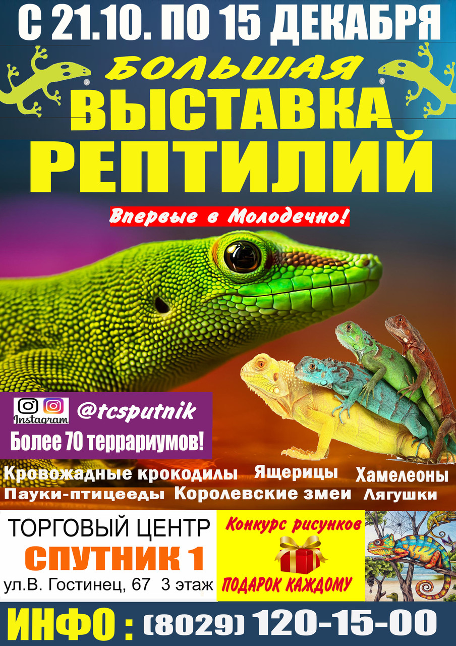 Большая выставка рептилий в Молодечно