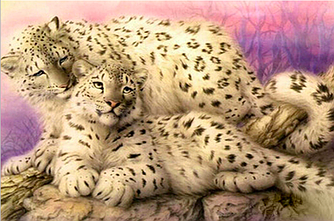 Алмазная вышивка "Белые леопарды" 30х20 см