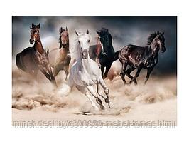 Картина Signal HORSES 120x80