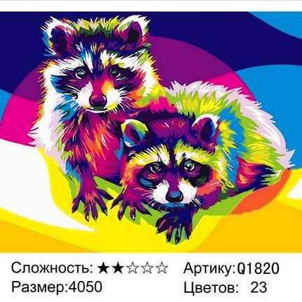 Картина по номерам Разноцветные еноты (Q1820), фото 2
