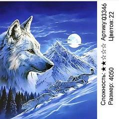 Картина по номерам Белая волчица (Q3346)