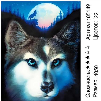 Картина по номерам Глаза волка (Q5149), фото 2