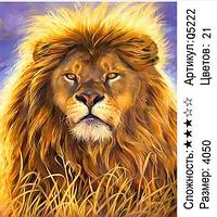 Картина по номерам Царь зверей Лев (Q5222)