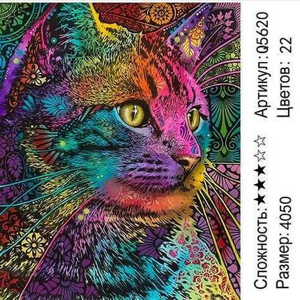Живопись по номерам Разноцветный кот (Q5620), фото 2