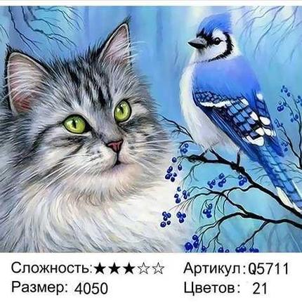 Живопись по номерам Серый кот и птичка (Q5711), фото 2