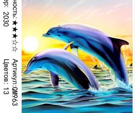Раскраска по номерам Пара дельфинов (QM963)