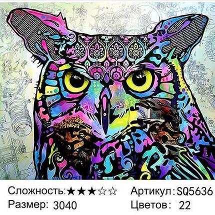 Рисование по номерам Разноцветная сова (SQ5636), фото 2