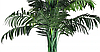 Дерево искусственное декоративное Пальма Ховея 110 см, фото 2