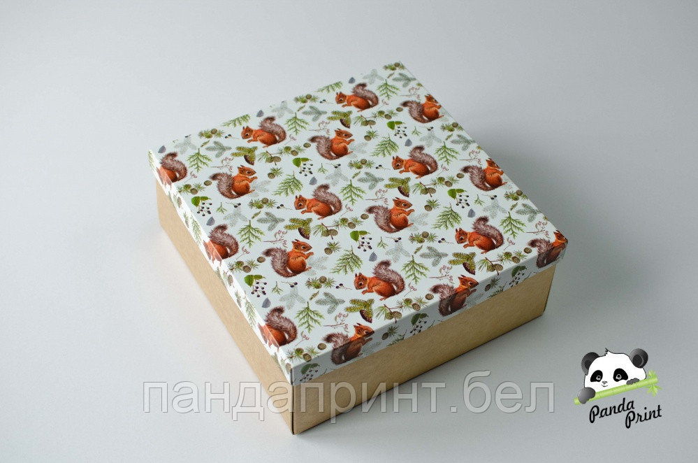 Коробка 260х255х100 Белки (крафт дно)