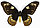 Бабочка Птицекрылка Голиаф (самка), арт: 118в, фото 2