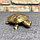 Шкатулка-мелочница Черепаха, фото 3