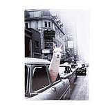 Обложка на автодокументы "Лама в такси", фото 2