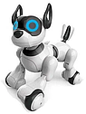 Детская интерактивная игрушка Робот собака на радиоуправлении арт. 20173-1 Свет, Звук, на АКБ, фото 3