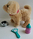 Детская интерактивная сенсорная игрушка Собака с аксессуарами арт. T880-2 Ходит,гавкает,виляет хвостом, фото 5